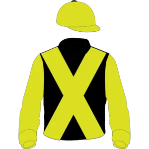 Black, yellow crossed sashes, sleeves and cap