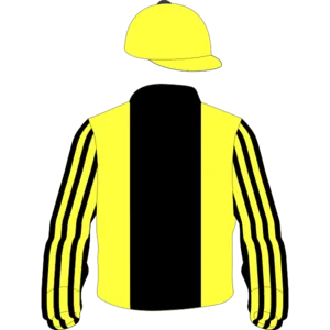 Yellow, black stripe, striped sleeves, yellow cap