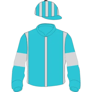 Aquamarine, dark grey seams, aquamarine sleeves, dark grey armbands, striped cap