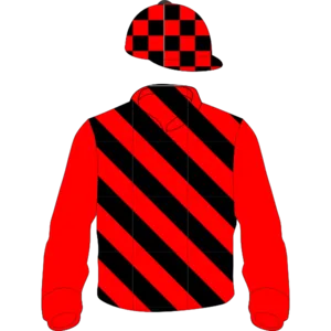 Red and black diagonal stripes, red sleeves, checked cap